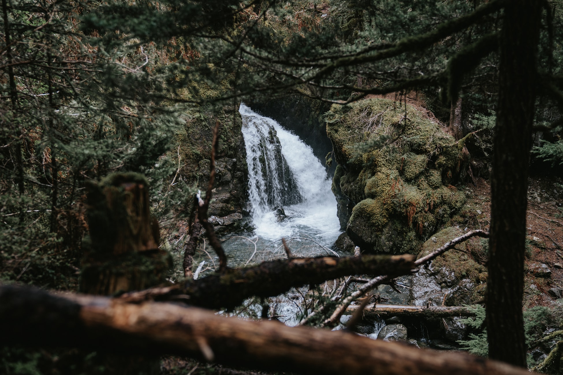 Image Segmentation | Segmentazione semantica e delle istanze