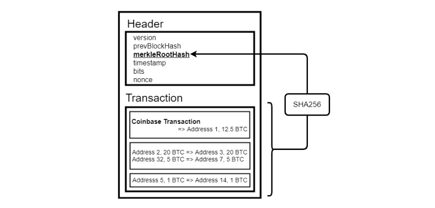 Bitcoin block structure highlighting header which contains the merke root of the transaction